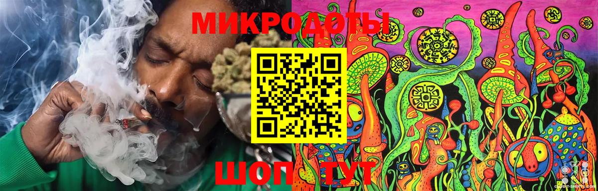 Псилоцибиновые грибы мухоморы Саранск