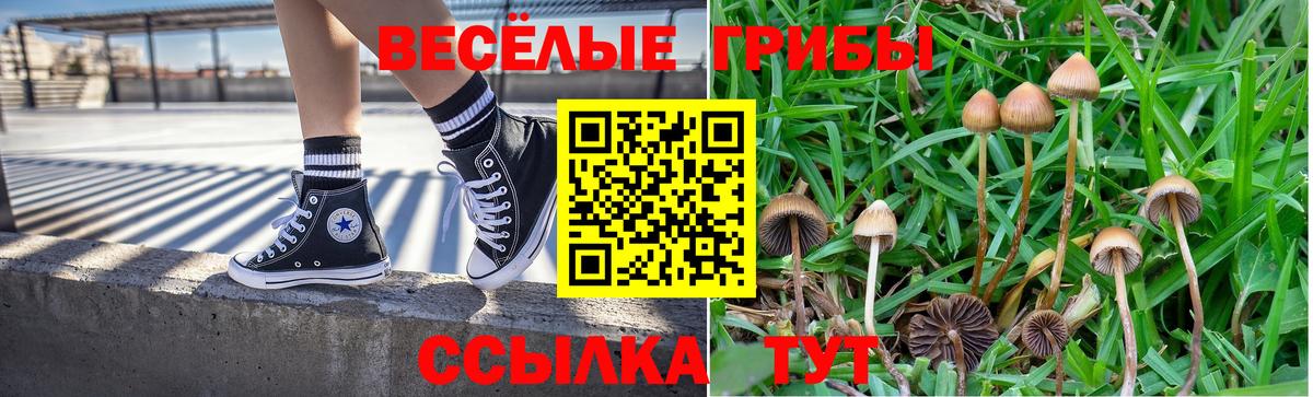 МЕФ Саранск